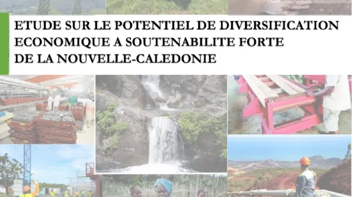 Etude sur le potentiel de diversification économique à soutenabilité forte  de la Nouvelle-Calédonie.