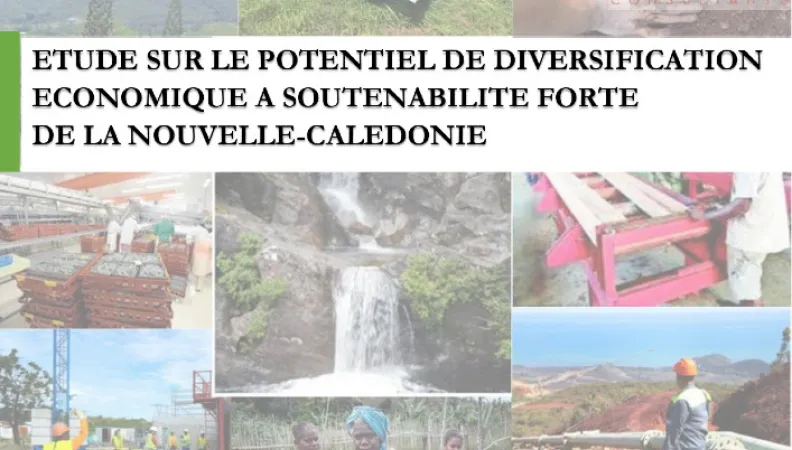 Etude sur le potentiel de diversification économique à soutenabilité forte  de la Nouvelle-Calédonie.
